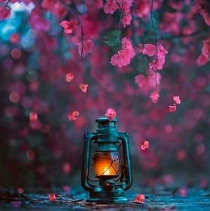 Meet your Posher, Gowsika